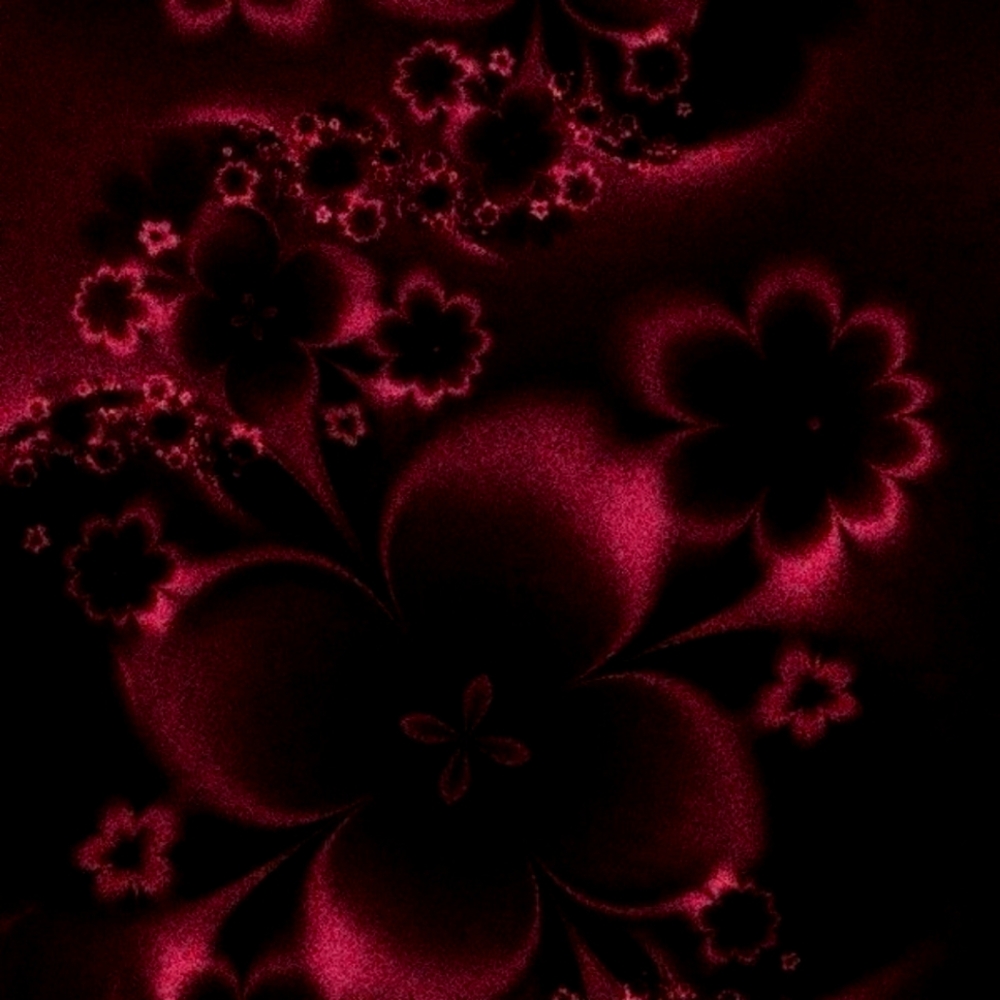 Meet your Posher, Rosie